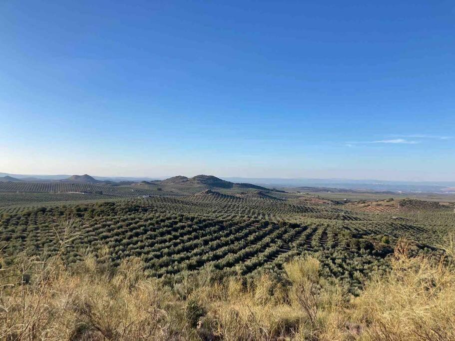 Вілла Casa Picual, Mancha Real, Jaen Екстер'єр фото