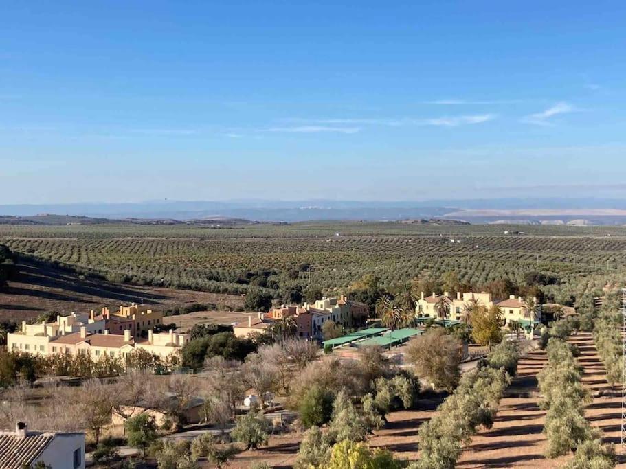 Вілла Casa Picual, Mancha Real, Jaen Екстер'єр фото